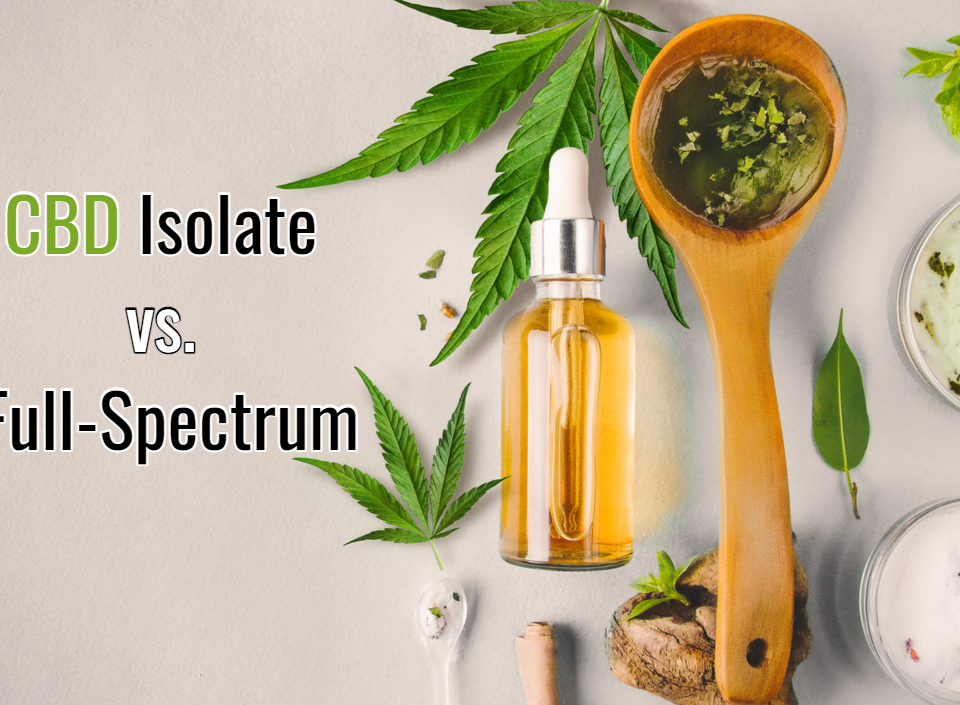Full Spectrum CBD Oil vs CBD Isolate